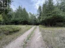 2099 Bidwell Road | Assiginack Ontario | Slide Image Seventeen