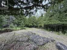 2099 Bidwell Road | Assiginack Ontario | Slide Image Eighteen