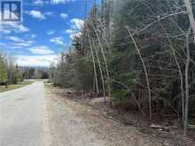 N/A Third Avenue | Assiginack Ontario | Slide Image One