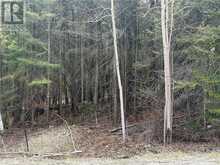 N/A Third Avenue | Assiginack Ontario | Slide Image Three