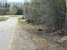 N/A Third Avenue | Assiginack Ontario | Slide Image Six