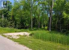 Lot 9 Fruchey Street | Manitoulin Island Ontario | Slide Image Five
