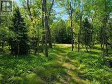 Lot 9 Fruchey Street | Manitoulin Island Ontario | Slide Image Seven
