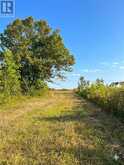 PT 2 Highway 540 | Manitoulin Island Ontario | Slide Image Six