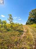 PT 1 Highway 540 | Manitoulin Island Ontario | Slide Image Nine