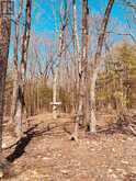 163 Checkerboard Lane | Manitoulin Island Ontario | Slide Image Seventeen