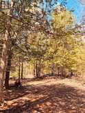 163 Checkerboard Lane | Manitoulin Island Ontario | Slide Image Twenty-one