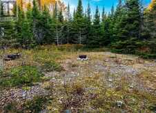 N/A Beaver Road Unit# Lot 5 | Central Manitoulin Ontario | Slide Image Four