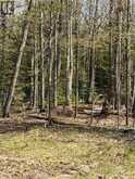 974 Ice Lake Drive | Manitoulin Island Ontario | Slide Image Eight