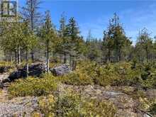 PT LT 14 CON 12 | Central Manitoulin Ontario | Slide Image Two
