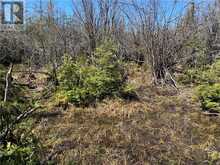 PT LT 14 CON 12 | Central Manitoulin Ontario | Slide Image Three