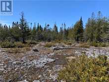 PT LT 14 CON 12 | Central Manitoulin Ontario | Slide Image Four