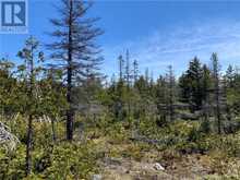 PT LT 14 CON 12 | Central Manitoulin Ontario | Slide Image Five