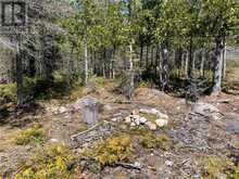 PT LT 14 CON 12 | Central Manitoulin Ontario | Slide Image Six