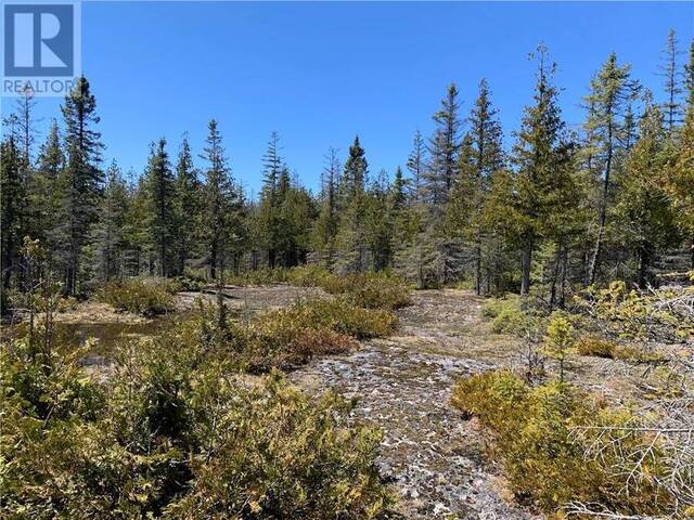 PT LT 14 CON 12 Central Manitoulin Ontario, P0P 2C0 - Vacant Land For Sale