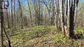 Lot 6 Con 3 Rabbit Trail Road | Markstay-Warren Ontario | Slide Image One