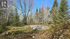 Lot 6 Con 3 Rabbit Trail Road | Markstay-Warren Ontario | Slide Image Two