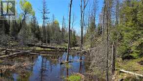 Lot 6 Con 3 Rabbit Trail Road | Markstay-Warren Ontario | Slide Image Three