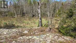 Lot 6 Con 3 Rabbit Trail Road | Markstay-Warren Ontario | Slide Image Four