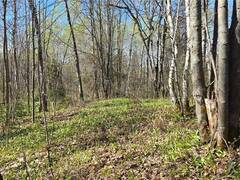 Lot 6 Con 3 Rabbit Trail Road Markstay-Warren Ontario, P0H 2N0