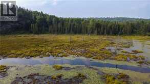 PCL 4804 Kukagami Lake Road | Markstay-Warren Ontario | Slide Image Seven