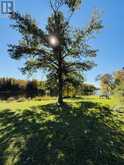 760 River Rd | Sables-Spanish Rivers Ontario | Slide Image Eighty-five
