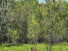 N/A Lagoon Lane | Manitoulin Island Ontario | Slide Image Three