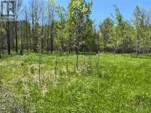 N/A Lagoon Lane | Manitoulin Island Ontario | Slide Image Seven