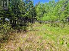 248 Whitetail Dr | Manitoulin Island Ontario | Slide Image Ten