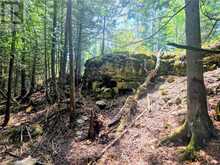 248 Whitetail Dr | Manitoulin Island Ontario | Slide Image Fifteen
