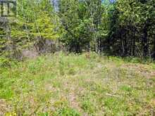 248 Whitetail Dr | Manitoulin Island Ontario | Slide Image Nine