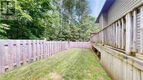 57 Moggy | Assiginack Ontario | Slide Image Twelve