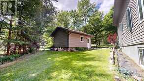 57 Moggy | Assiginack Ontario | Slide Image Six