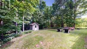 57 Moggy | Assiginack Ontario | Slide Image Eight