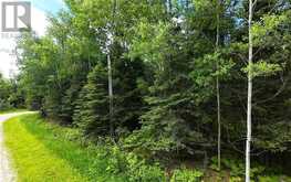Lot 22 Lily Crescent | Manitoulin Island Ontario | Slide Image Seven
