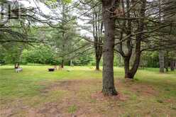 1806 Highway 17 | Sables-Spanish Rivers Ontario | Slide Image Eighty-six
