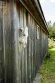 364 Triple D Trail | Assiginack Ontario | Slide Image Sixty-four