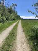 PL12C6 Dawson Loon Lake Road | Manitoulin Island Ontario | Slide Image Sixteen