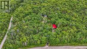 0 MOOSE LAKE & FOX LAKE Road | Sables-Spanish Rivers Ontario | Slide Image Nine
