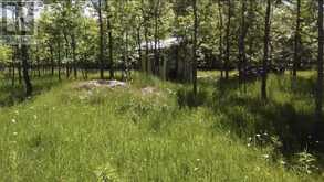 33 Carter Crescent | Manitoulin Island Ontario | Slide Image Four