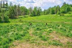 364 Rabbit Trail Road | French River Ontario | Slide Image Fifty-one