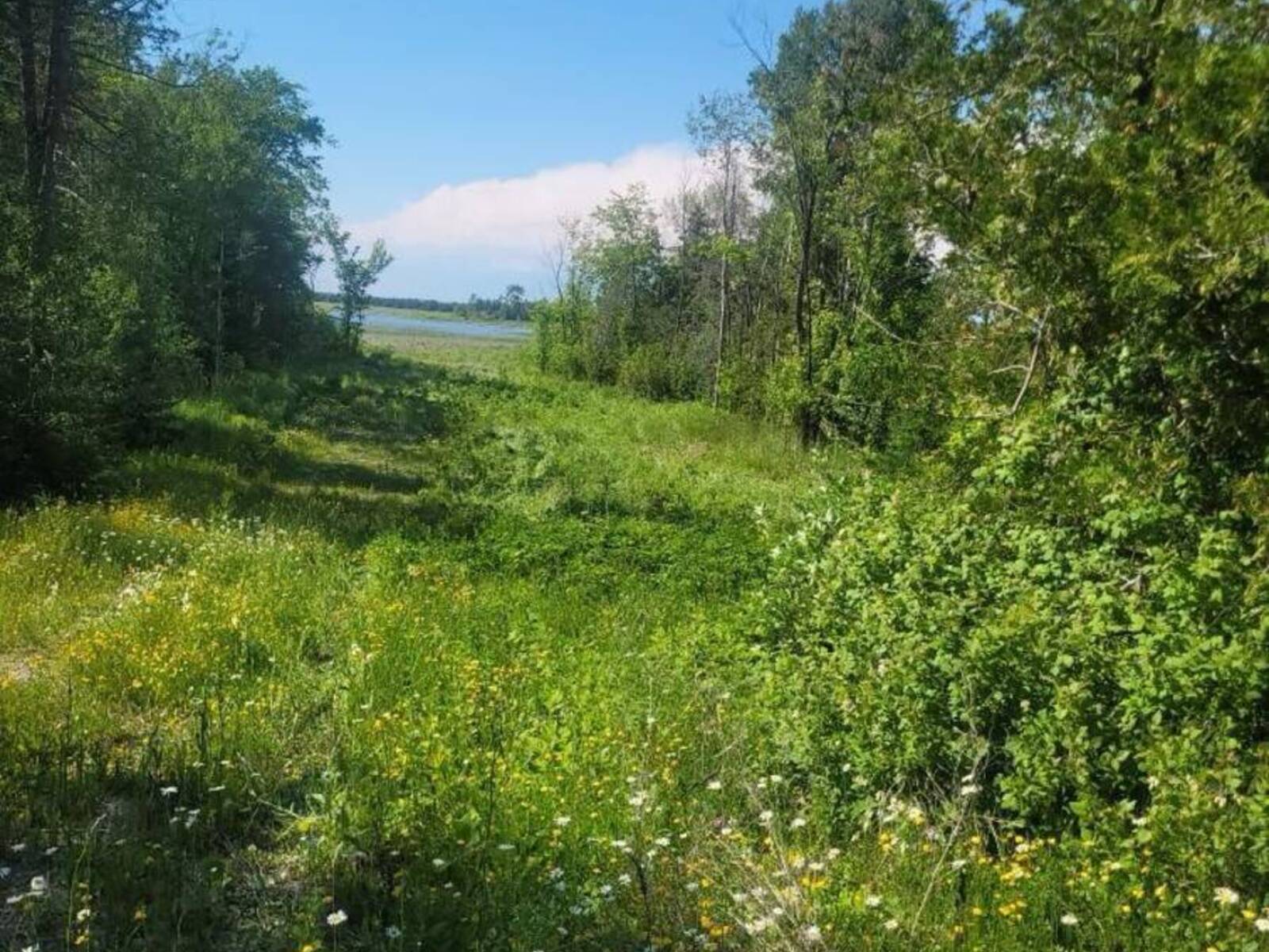 2440 Highway 540, Manitoulin Island, Ontario P0P 1K0