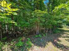 N/A McArthur Trail | Manitoulin Island Ontario | Slide Image Ten