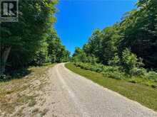 N/A McArthur Trail | Manitoulin Island Ontario | Slide Image Twelve