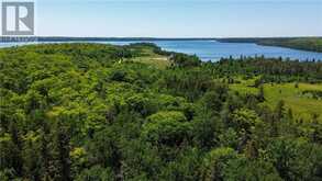N/A McArthur Trail | Manitoulin Island Ontario | Slide Image Four
