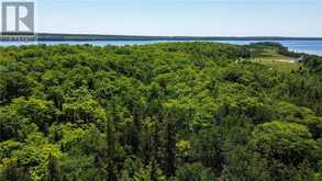 N/A McArthur Trail | Manitoulin Island Ontario | Slide Image Five