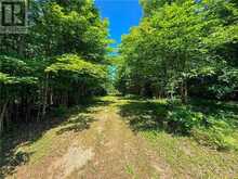 N/A McArthur Trail | Manitoulin Island Ontario | Slide Image Nine