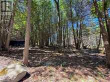 514C East Road | Manitoulin Island Ontario | Slide Image Seventeen