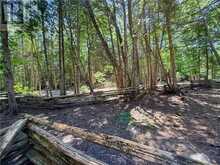 514C East Road | Manitoulin Island Ontario | Slide Image Nineteen