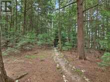 PCL 7754 Lake Panache | Espanola Ontario | Slide Image Eighty-three